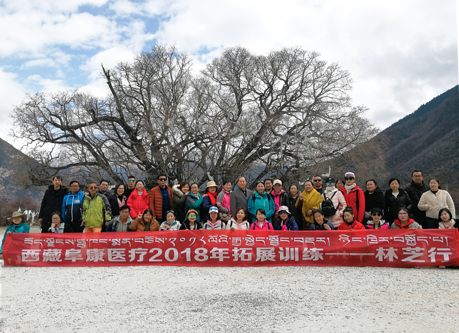 西藏阜康醫(yī)療2018年拓展訓(xùn)練——增強(qiáng)團(tuán)隊(duì)凝聚力、提升團(tuán)隊(duì)協(xié)作能力，更好地為患者服務(wù)