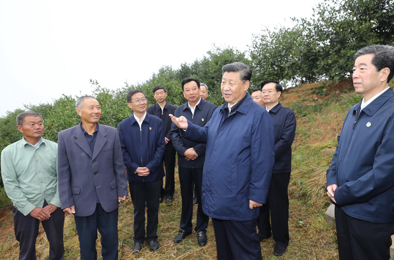 　　9月16日至18日，中共中央總書記、國(guó)家主席、中央軍委主席習(xí)近平在河南考察。這是17日上午，習(xí)近平來(lái)到信陽(yáng)市光山縣槐店鄉(xiāng)司馬光油茶園，同正在勞作的村民和管理人員交流。 新華社記者 鞠鵬 攝