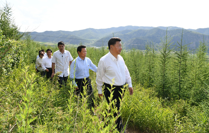7月15日至16日，中共中央總書記、國家主席、中央軍委主席習(xí)近平在內(nèi)蒙古考察并指導(dǎo)開展“不忘初心、牢記使命”主題教育。這是15日下午，習(xí)近平在赤峰市喀喇沁旗馬鞍山林場林區(qū)，沿著崎嶇的護林小道察看林木長勢。